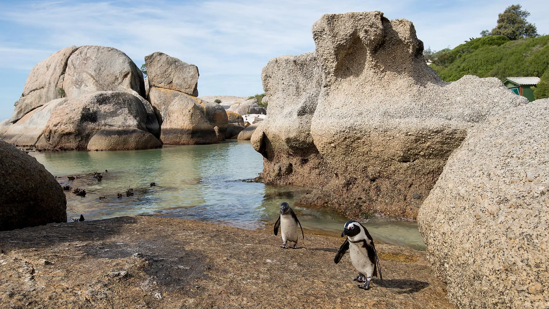 Cape Cadogan Boutique Hotel Cape Town